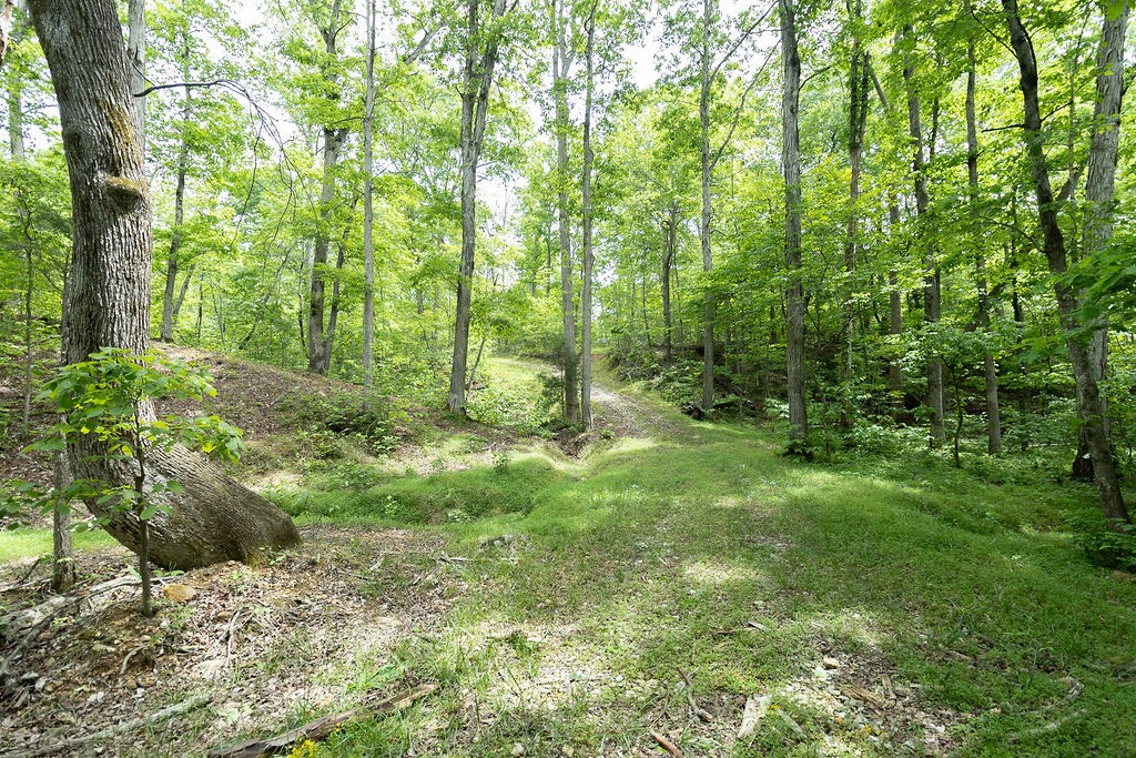 0 Billy Wynn Road Dickson TN 37055