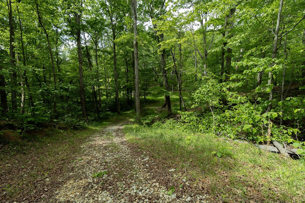 0 Billy Wynn Road Dickson TN 37055