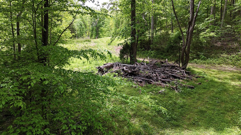 0 Billy Wynn Road Dickson TN 37055
