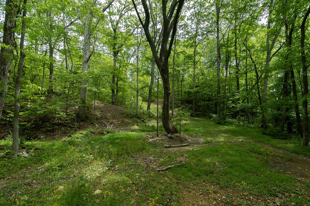 0 Billy Wynn Road Dickson TN 37055