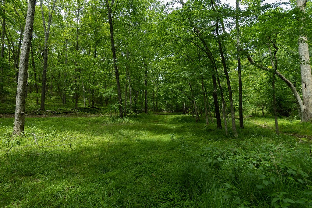 0 Billy Wynn Road Dickson TN 37055