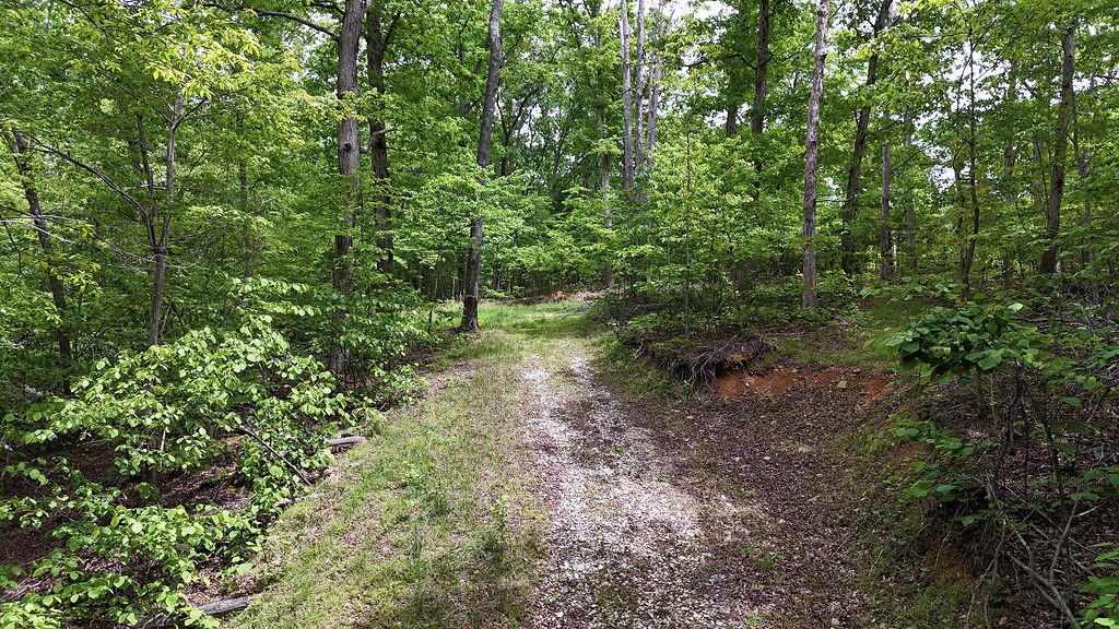 0 Billy Wynn Road Dickson TN 37055