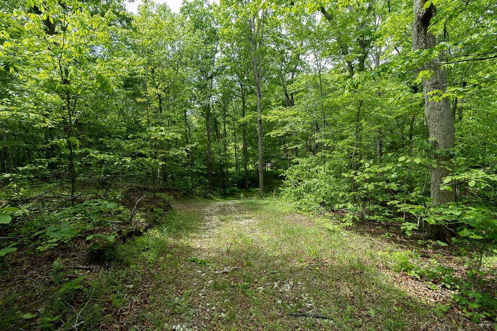 0 Billy Wynn Road Dickson TN 37055