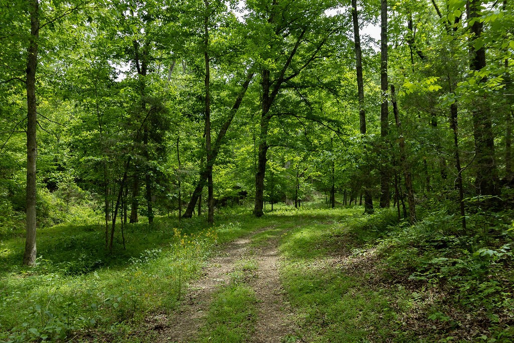 0 Billy Wynn Road Dickson TN 37055