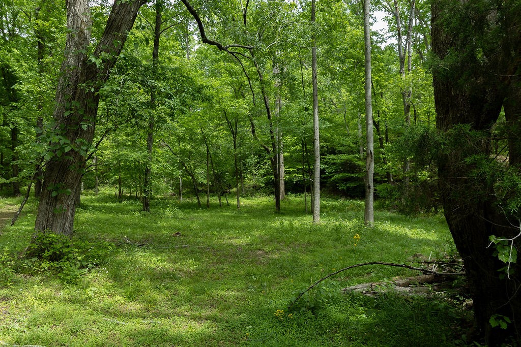 0 Billy Wynn Road Dickson TN 37055