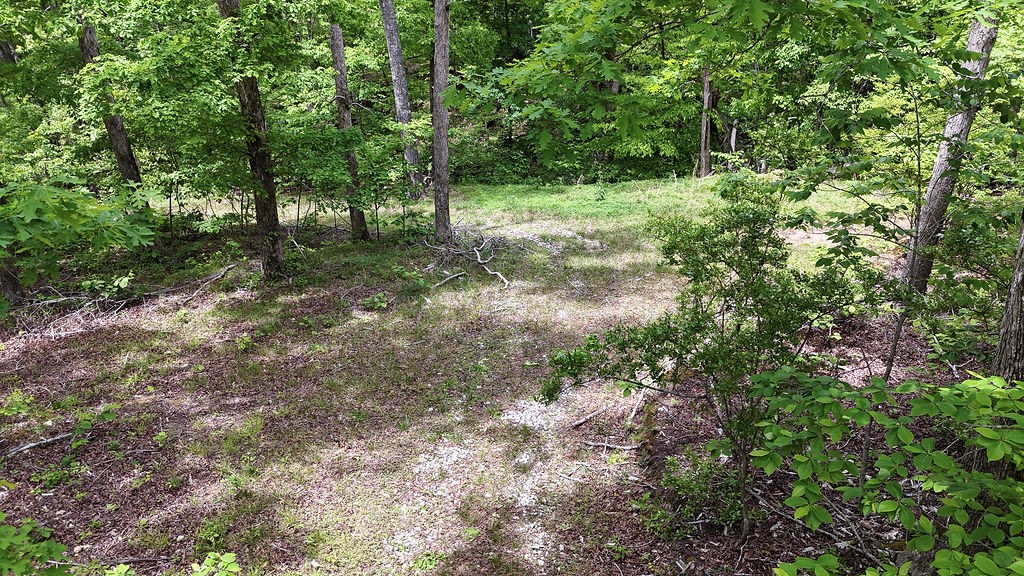 0 Billy Wynn Road Dickson TN 37055