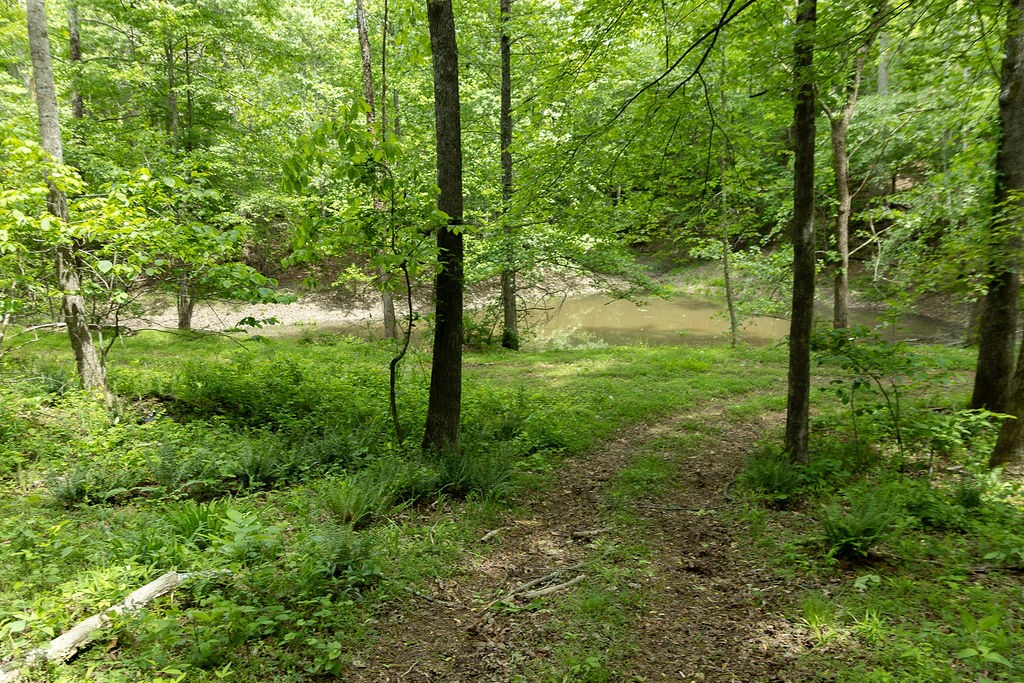 0 Billy Wynn Road Dickson TN 37055