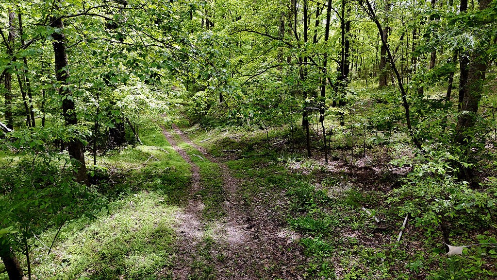 0 Billy Wynn Road Dickson TN 37055