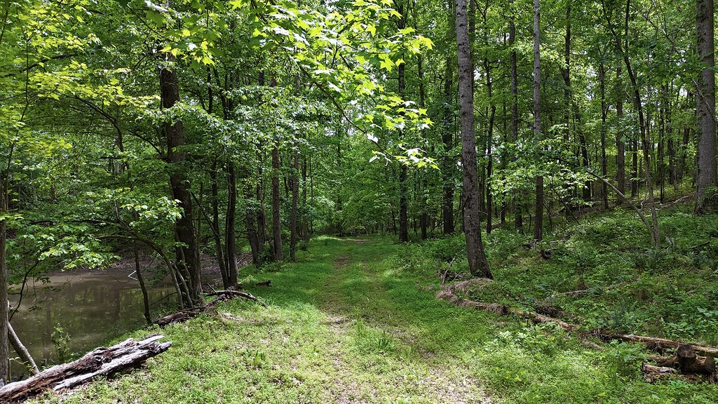 0 Billy Wynn Road Dickson TN 37055