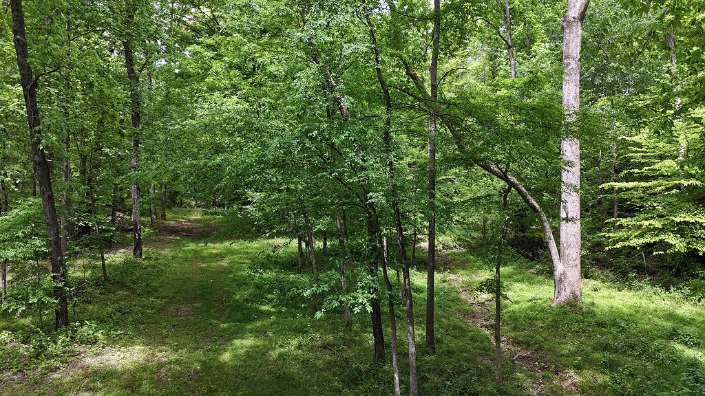 0 Billy Wynn Road Dickson TN 37055