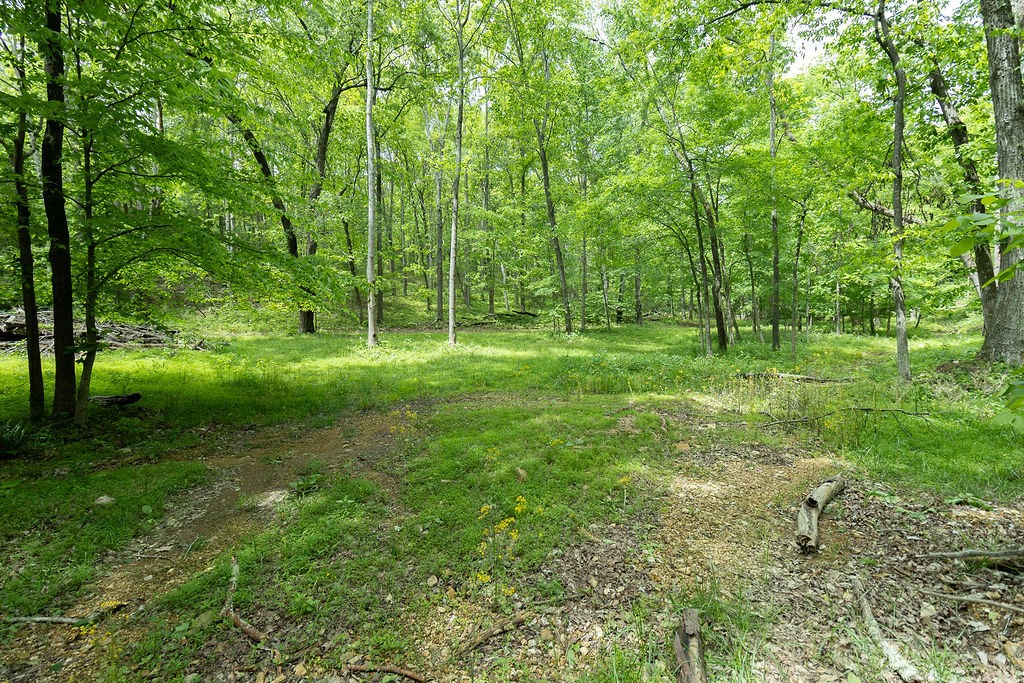 0 Billy Wynn Road Dickson TN 37055