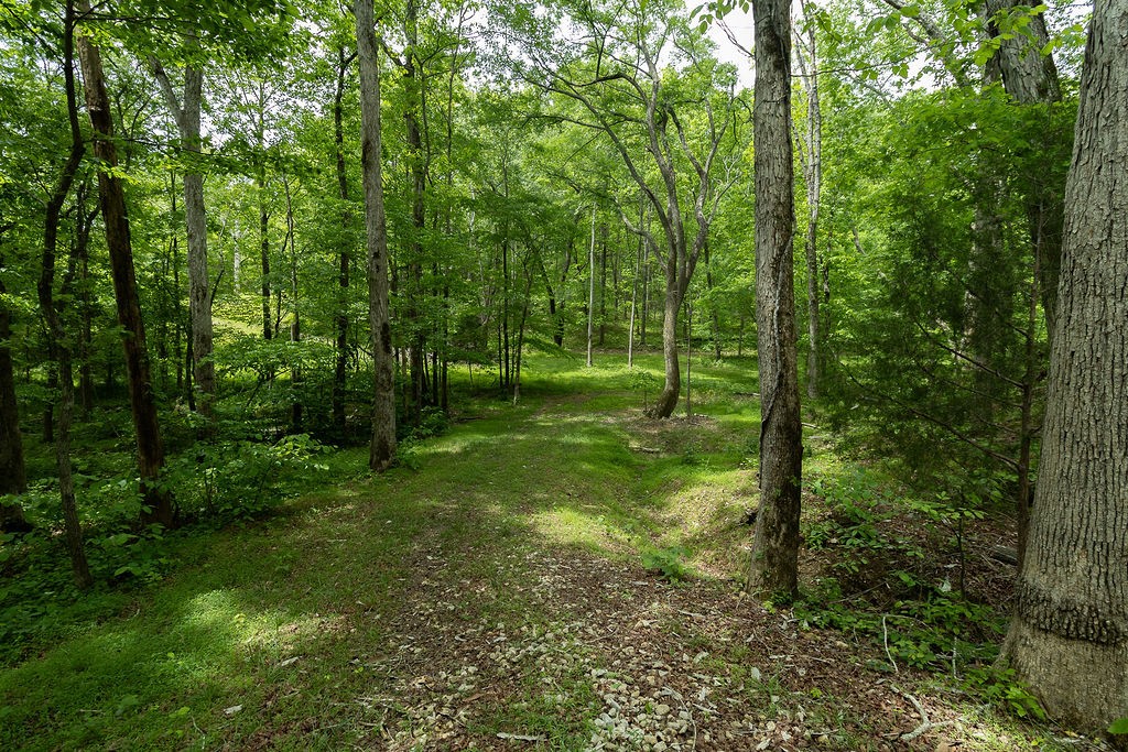 0 Billy Wynn Road Dickson TN 37055