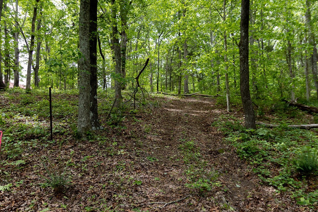 0 Billy Wynn Road Dickson TN 37055