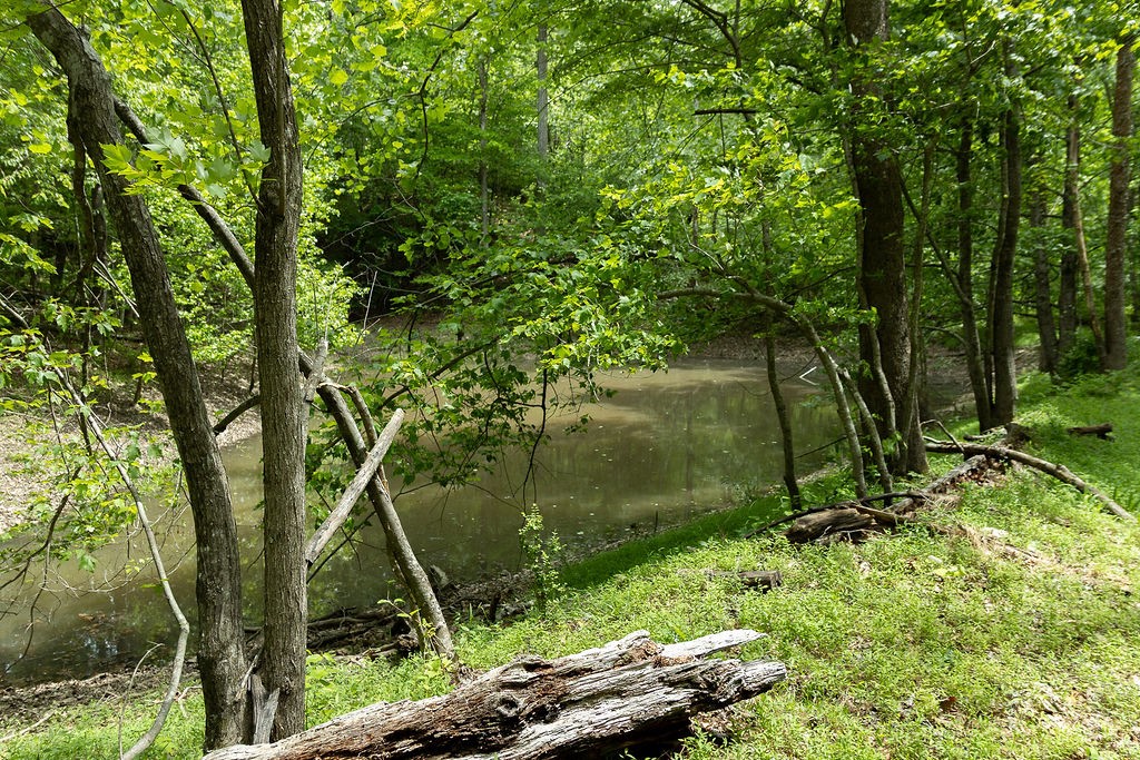 0 Billy Wynn Road Dickson TN 37055
