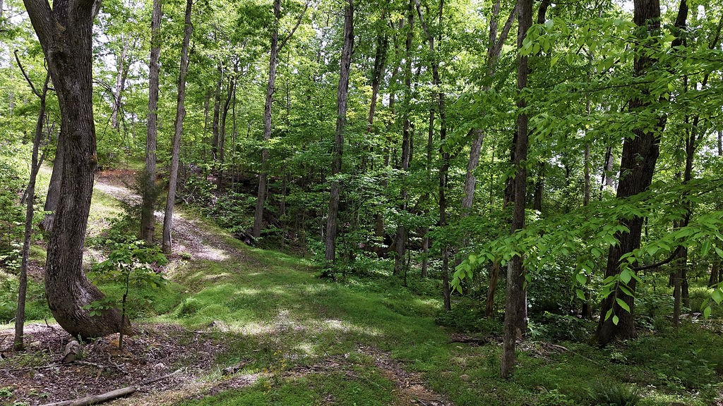0 Billy Wynn Road Dickson TN 37055