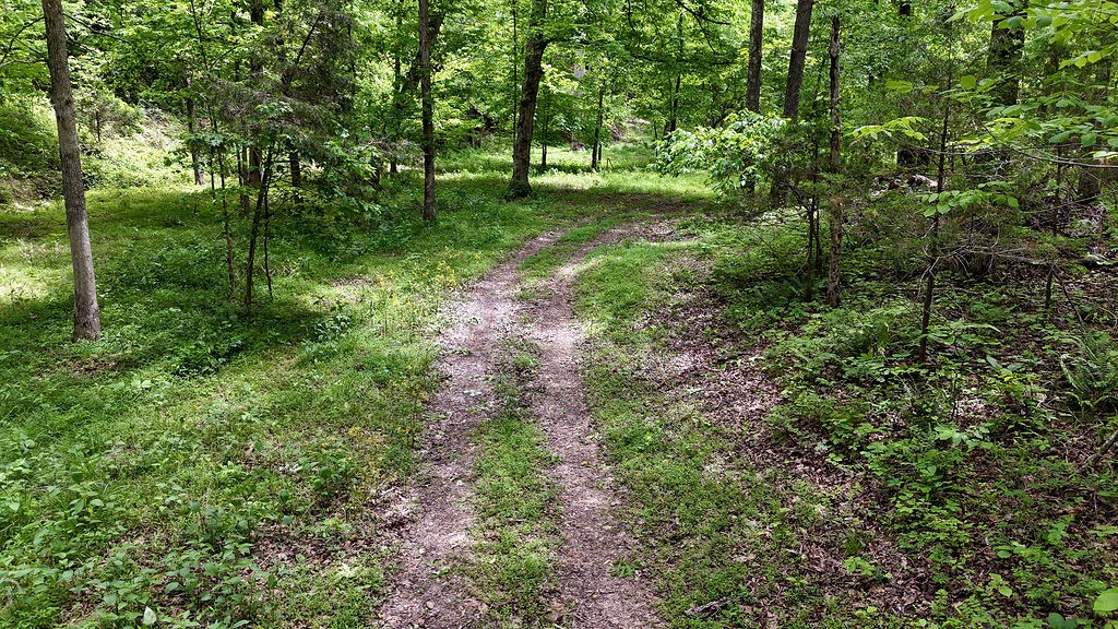0 Billy Wynn Road Dickson TN 37055