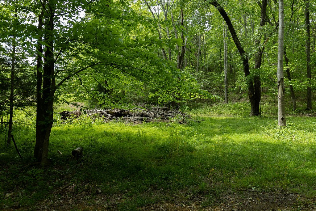0 Billy Wynn Road Dickson TN 37055