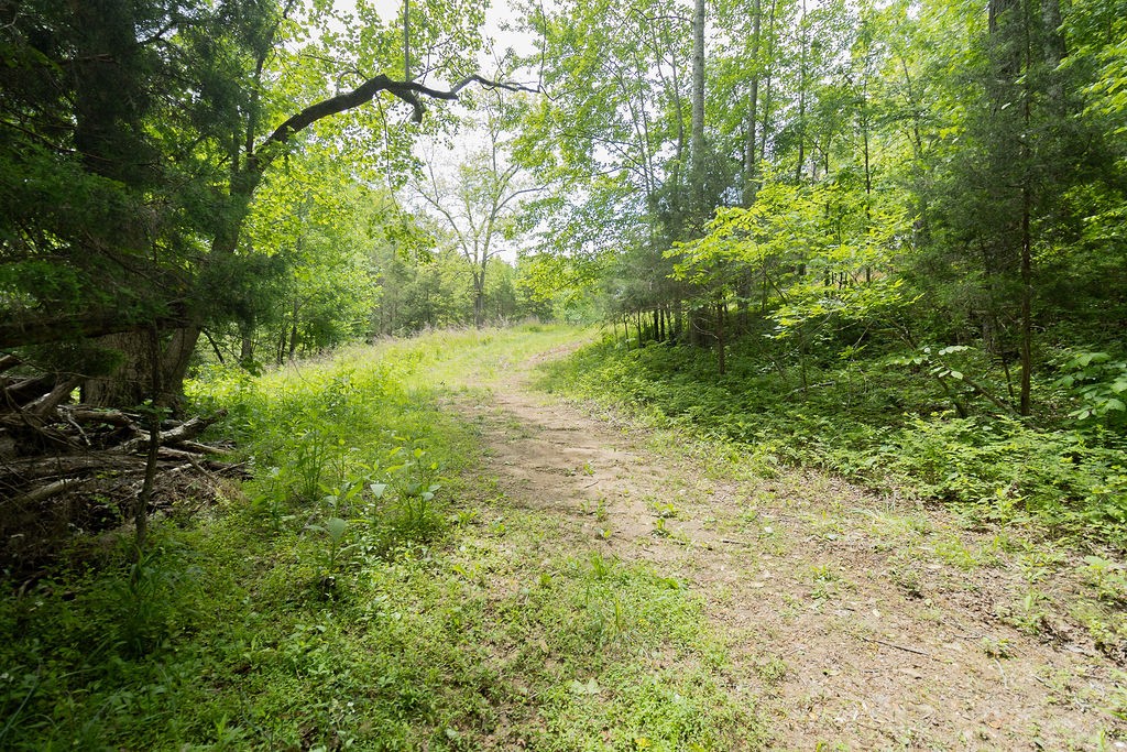 0 Billy Wynn Road Dickson TN 37055