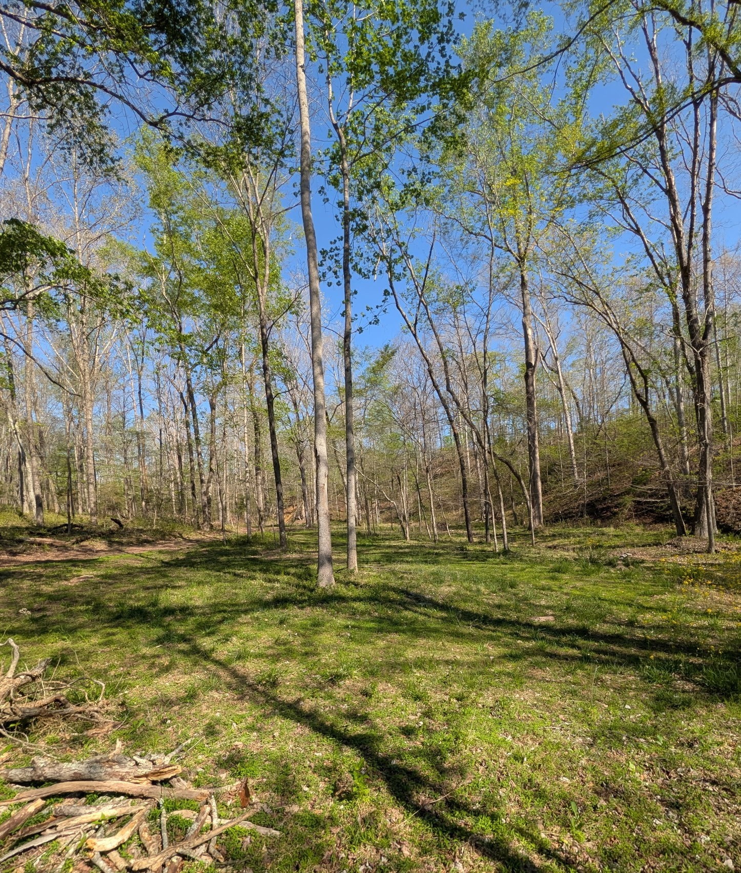 0 Billy Wynn Road Dickson TN 37055
