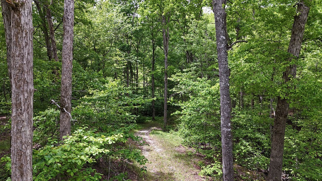0 Billy Wynn Road Dickson TN 37055