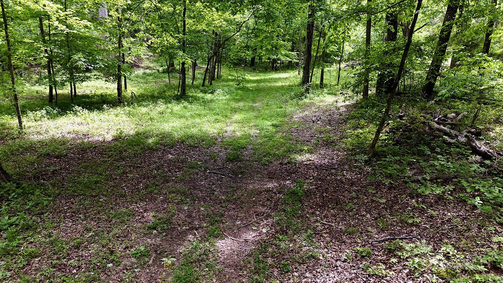 0 Billy Wynn Road Dickson TN 37055