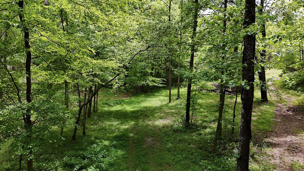 0 Billy Wynn Road Dickson TN 37055