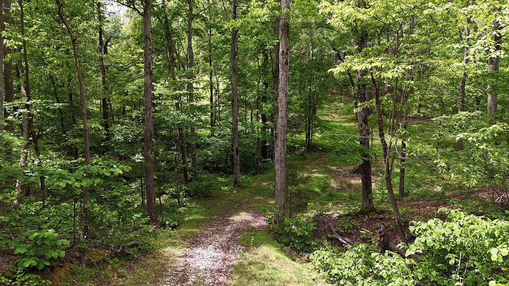 0 Billy Wynn Road Dickson TN 37055
