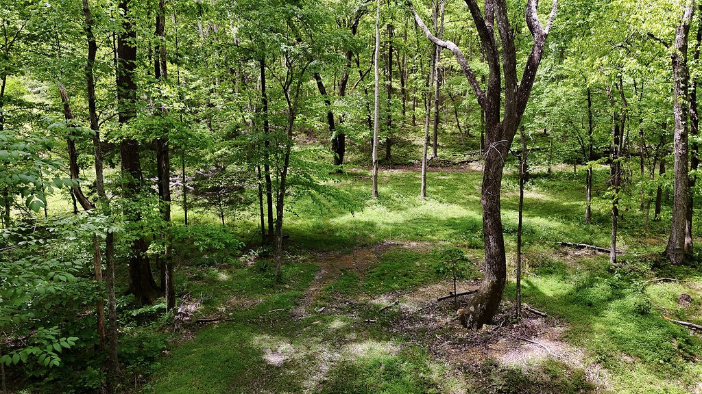 0 Billy Wynn Road Dickson TN 37055