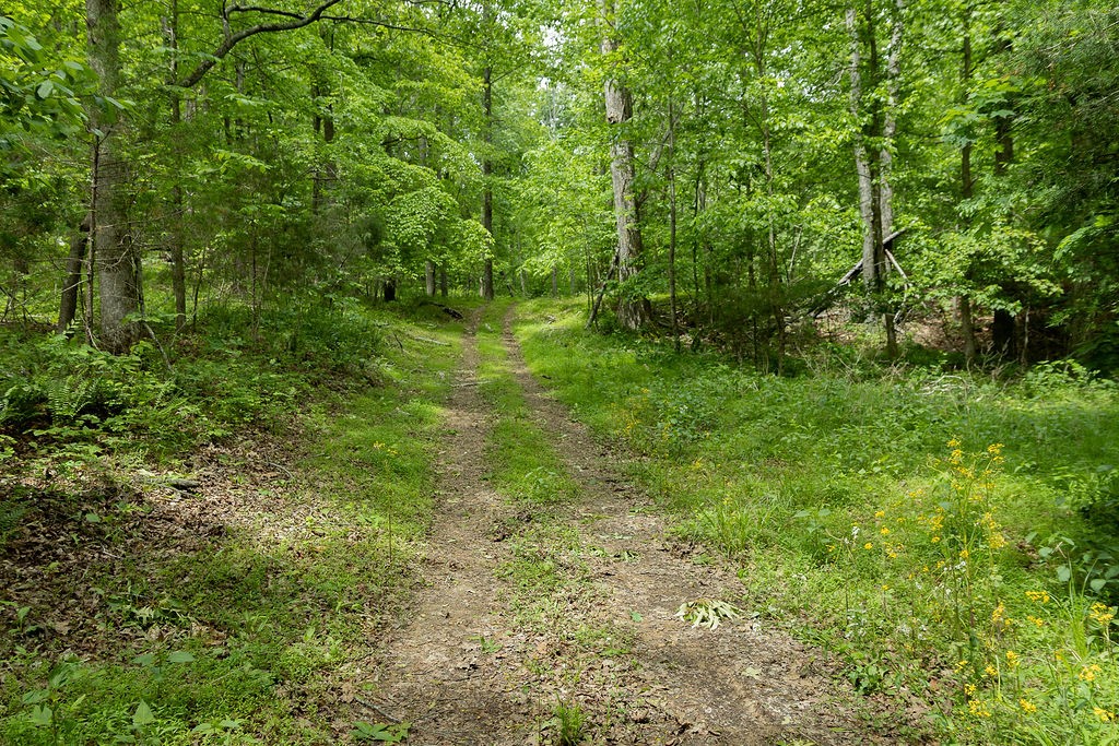 0 Billy Wynn Road Dickson TN 37055