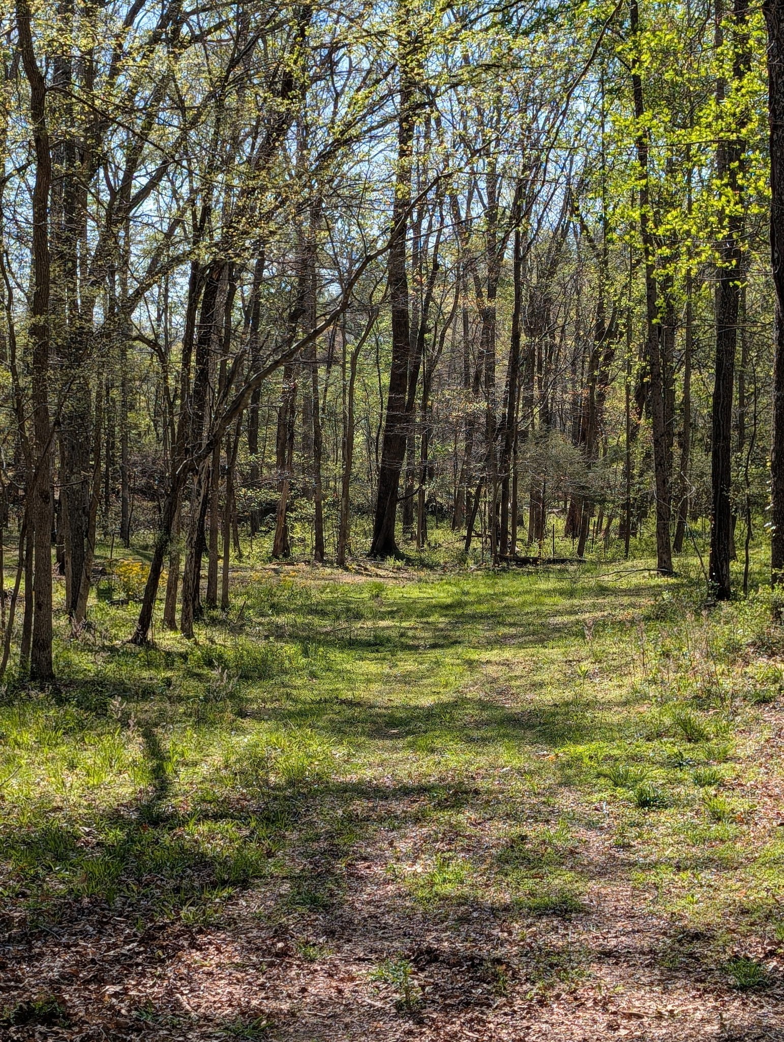 0 Billy Wynn Road Dickson TN 37055