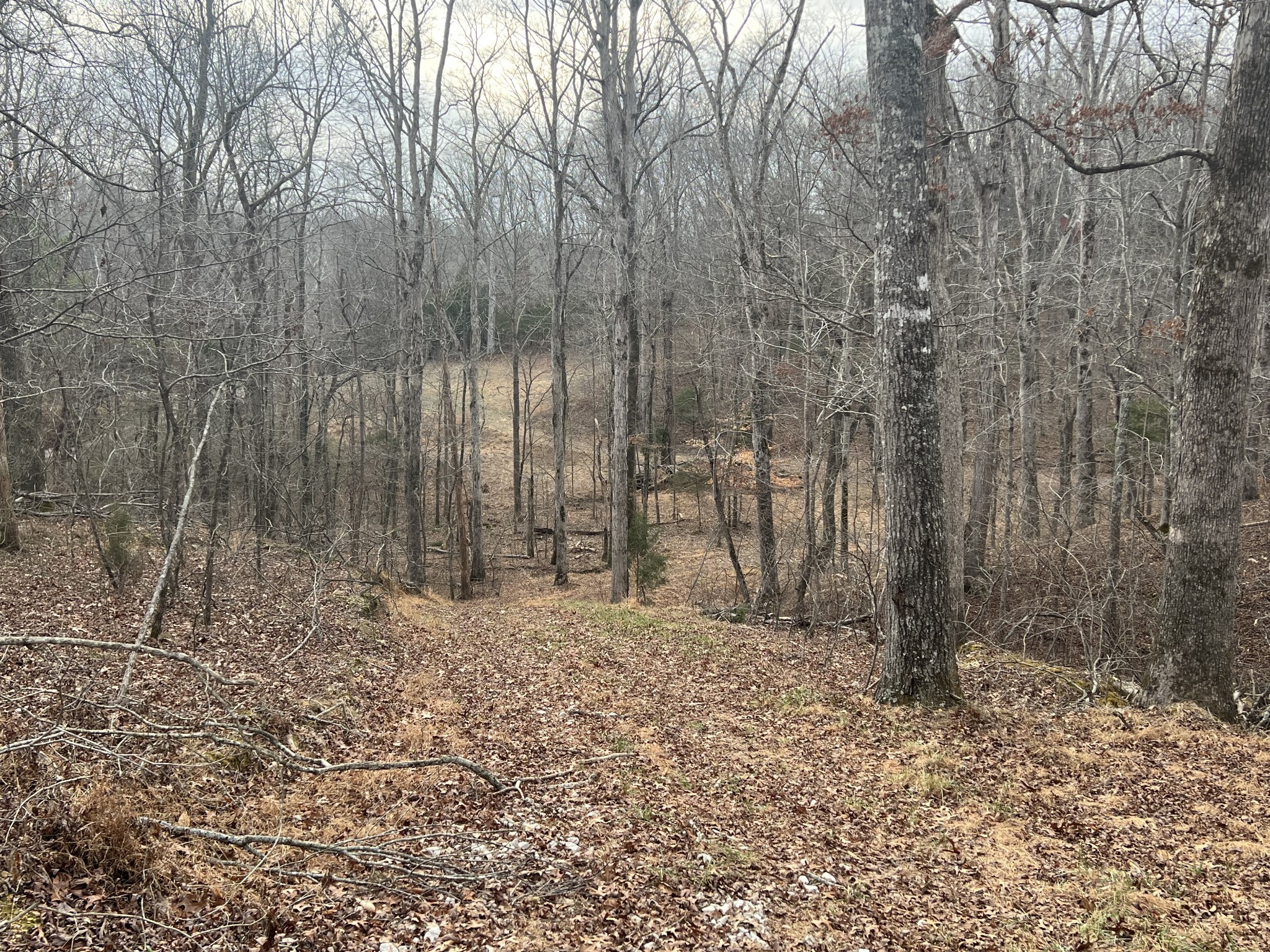 0 Billy Wynn Road Dickson TN 37055