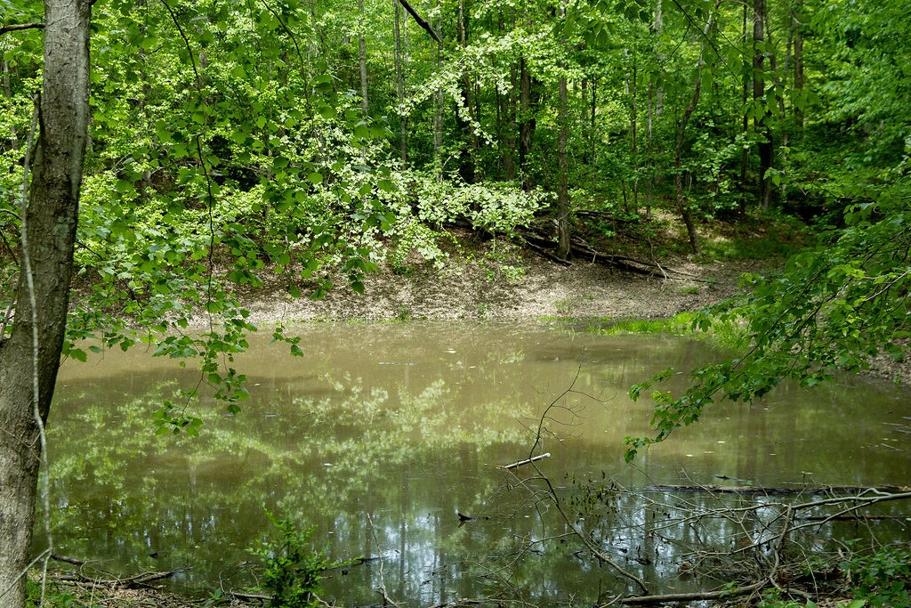 0 Billy Wynn Road Dickson TN 37055