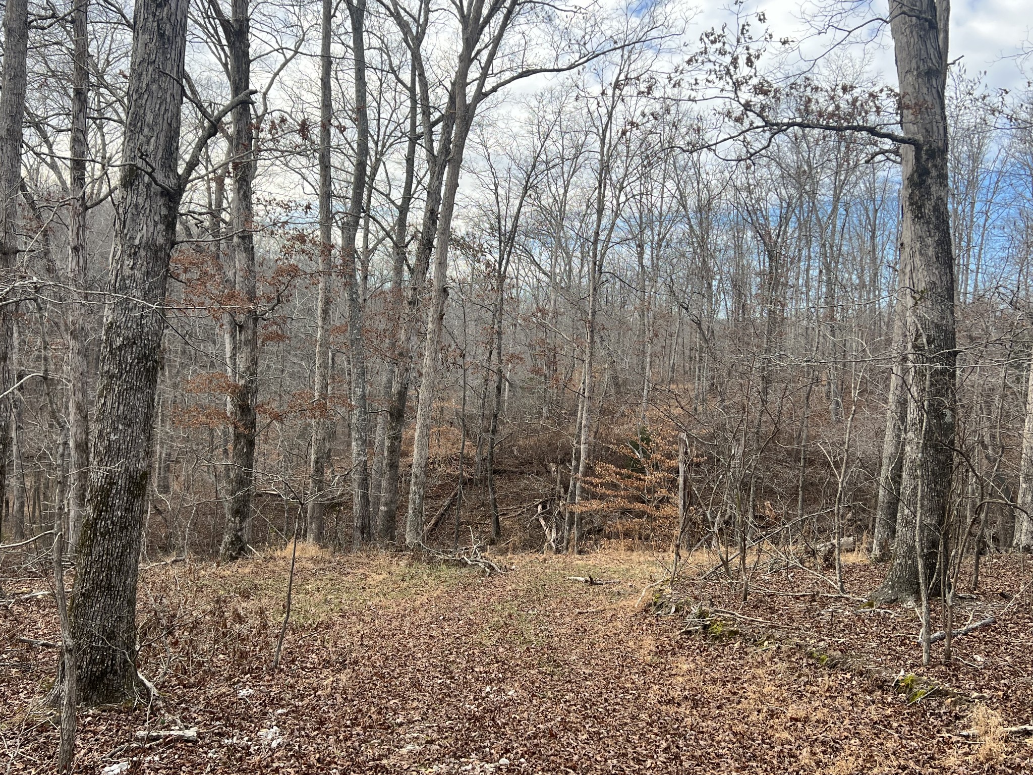0 Billy Wynn Road Dickson TN 37055