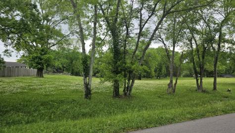 0 Cranwill Drive Hendersonville TN 37075