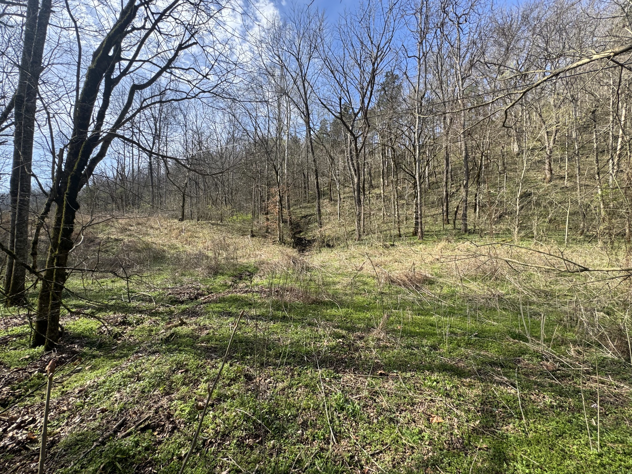 0 Pine Lick Road Whitleyville TN 38588