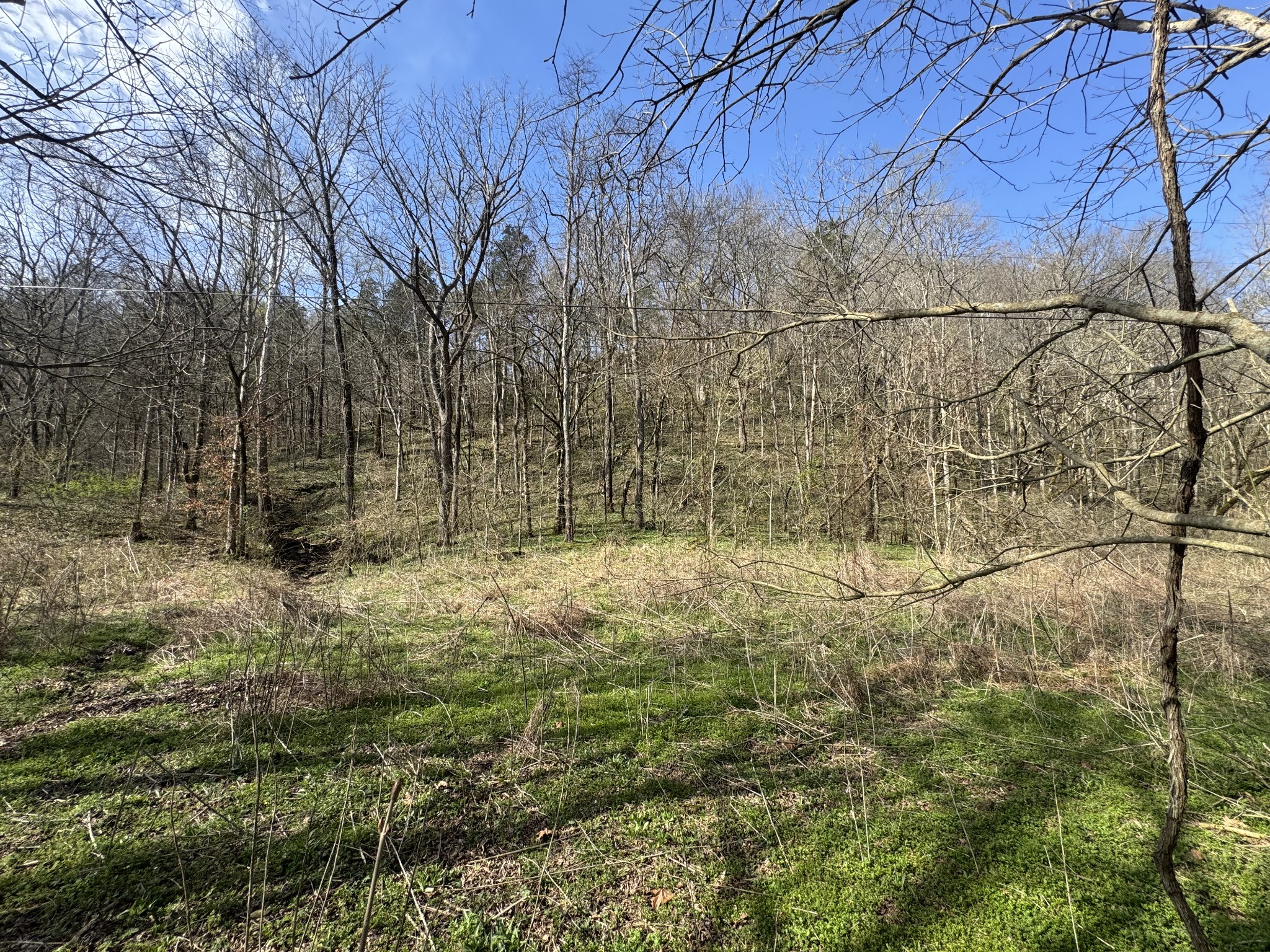 0 Pine Lick Road Whitleyville TN 38588