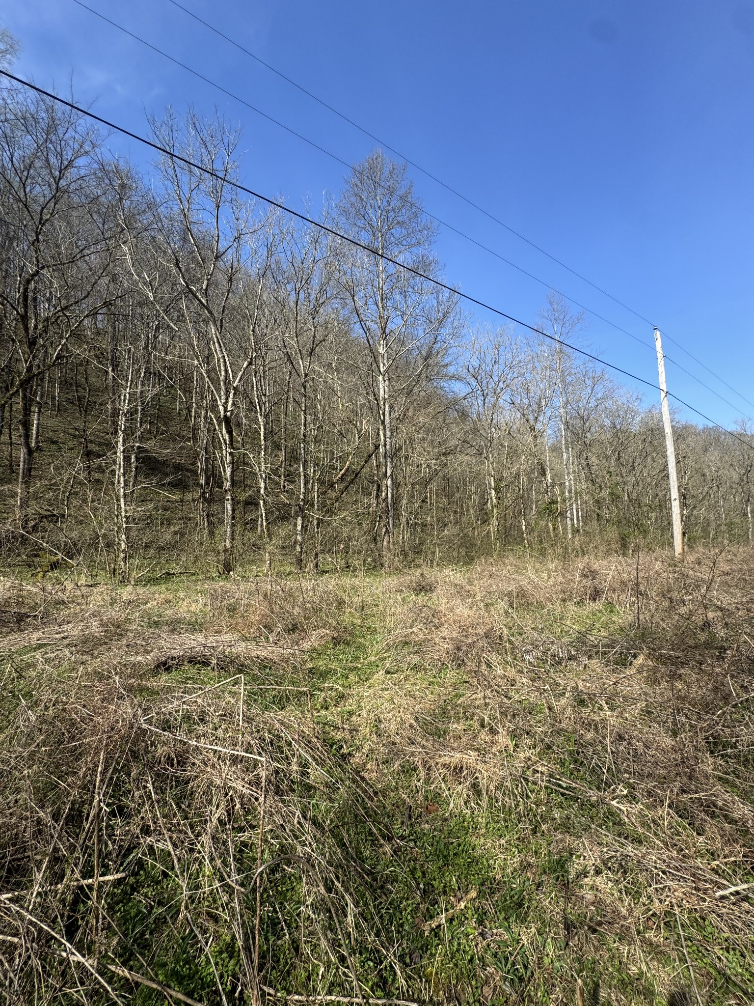 0 Pine Lick Road Whitleyville TN 38588