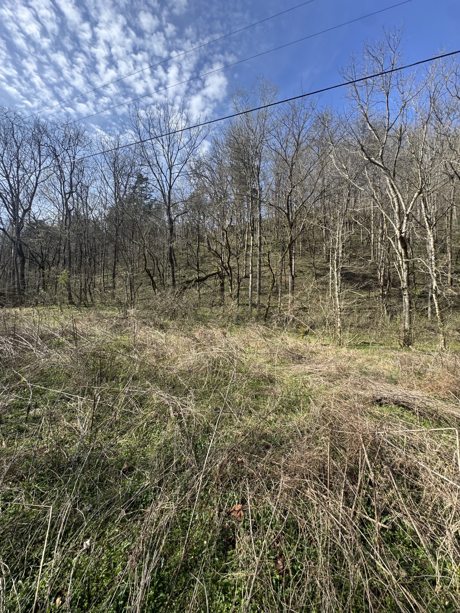 0 Pine Lick Road Whitleyville TN 38588
