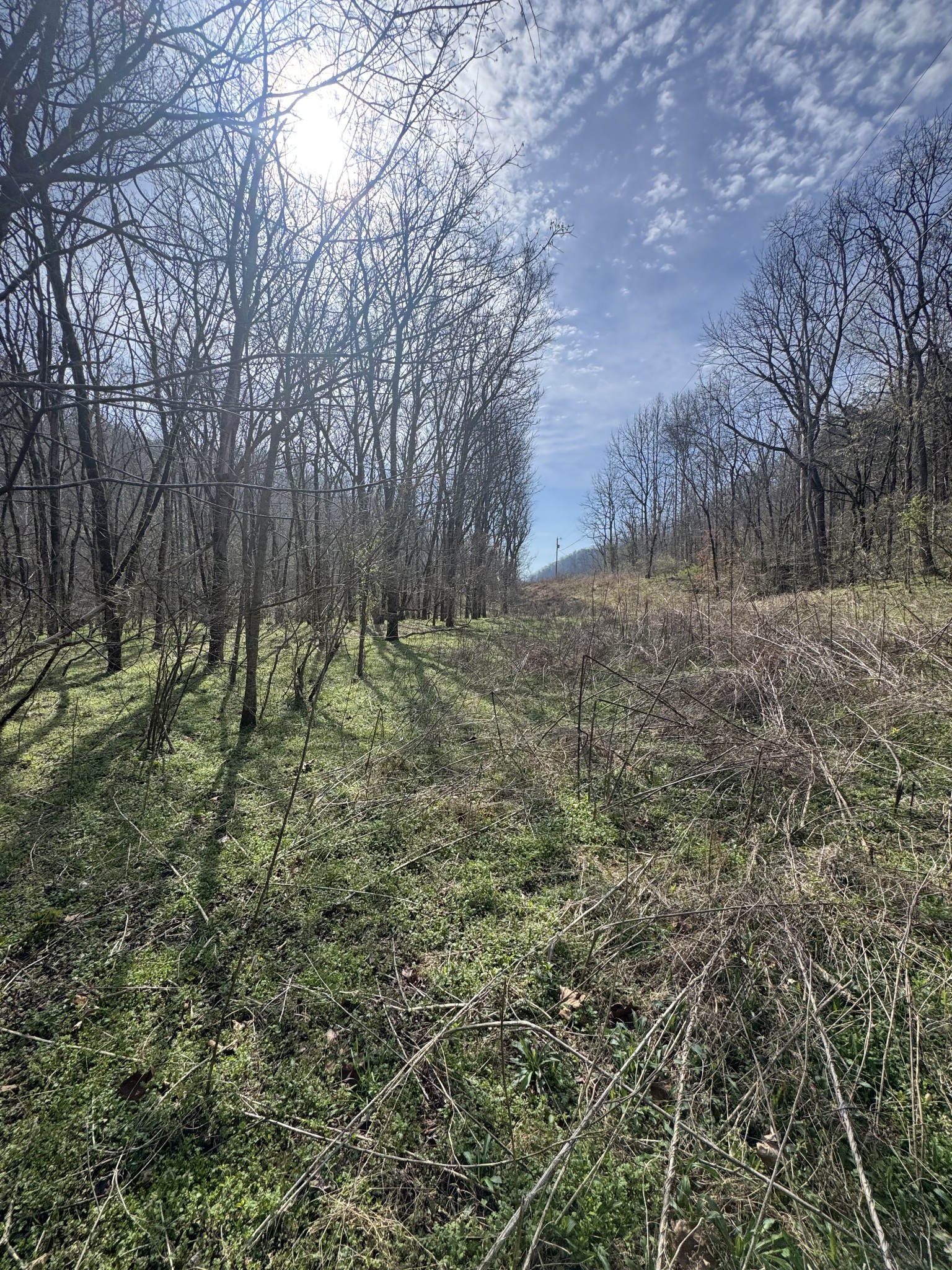 0 Pine Lick Road Whitleyville TN 38588