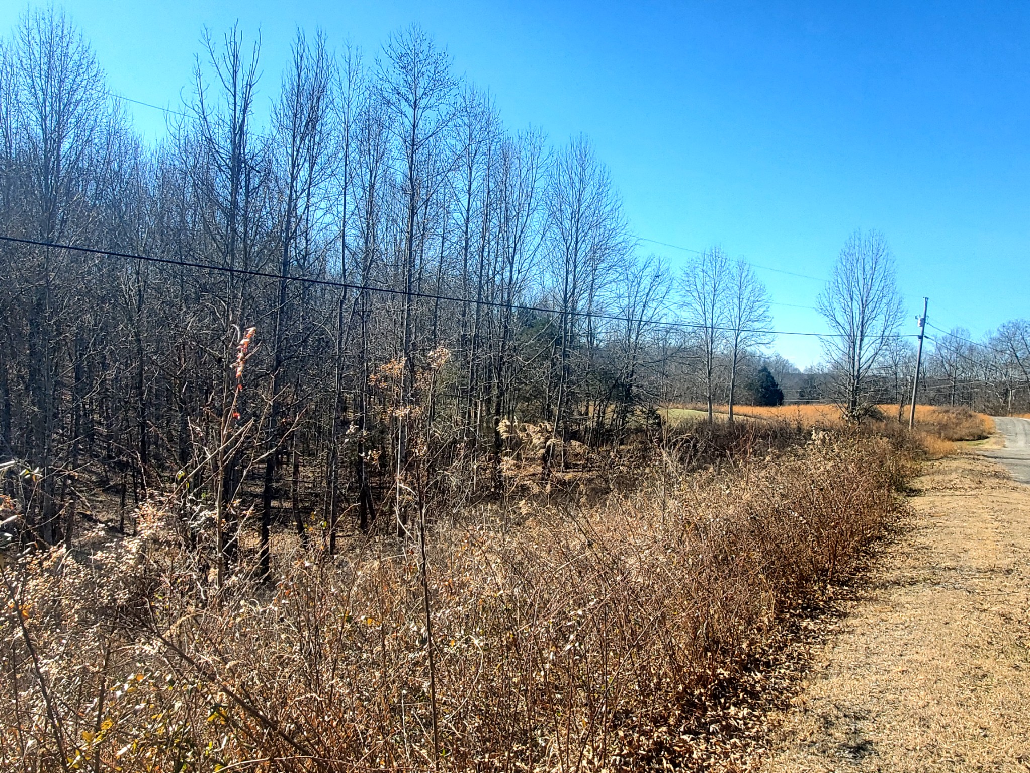 0 Summer Breeze Drive Smithville TN 37166