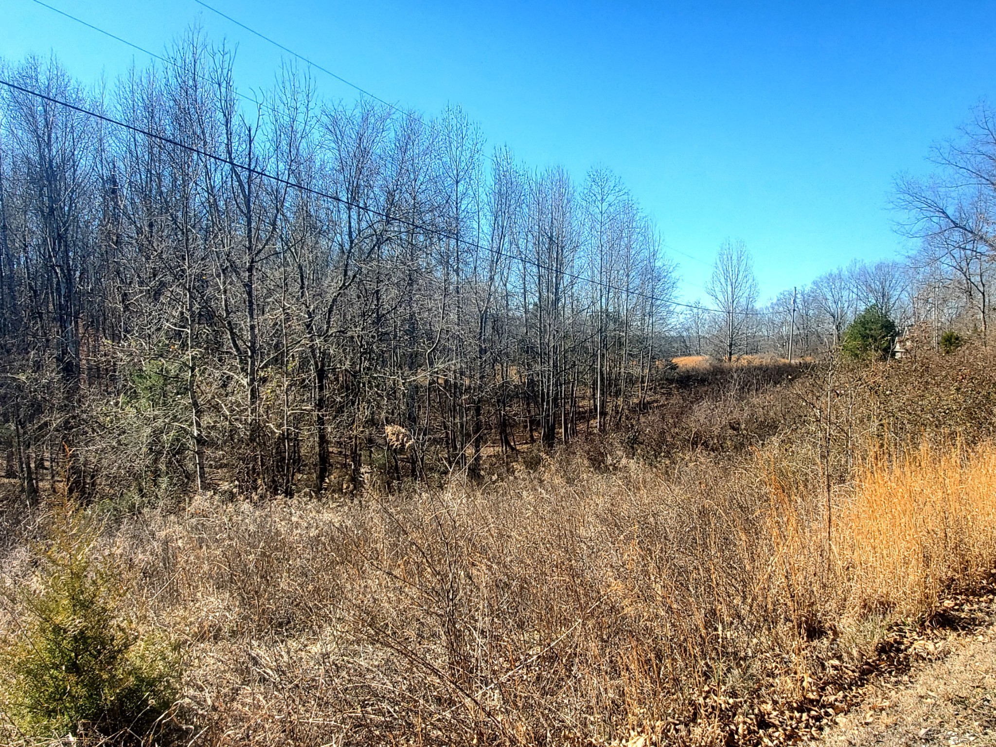 0 Summer Breeze Drive Smithville TN 37166
