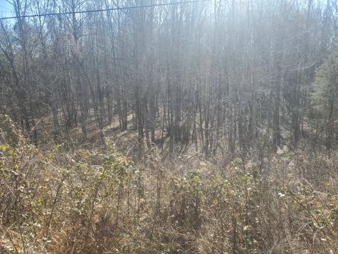0 Summer Breeze Drive Smithville TN 37166