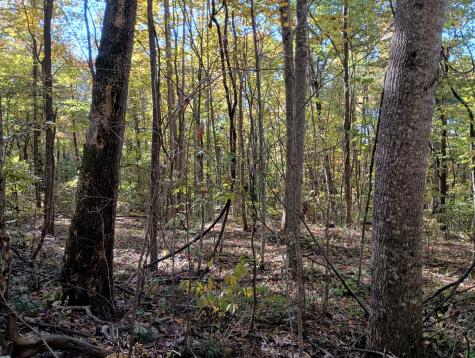 0 Clouse Hill Road Pelham TN 37366