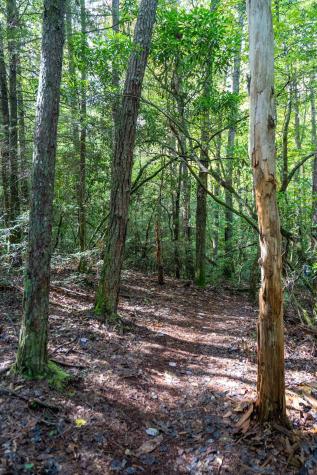 238 Mountain Laurel Monteagle TN 37356
