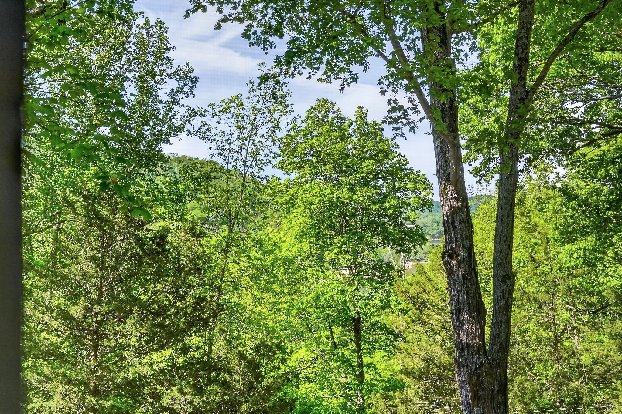 1097 Floating Mill Village Road Silver Point TN 38582