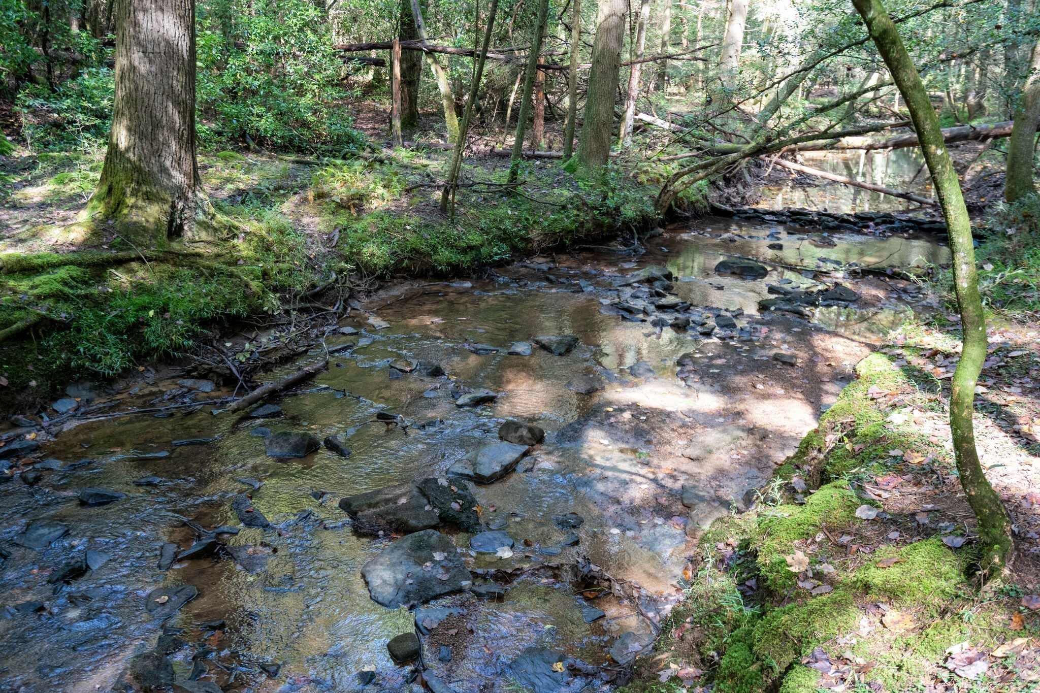 75A Deer Lick Trail Monteagle TN 37356