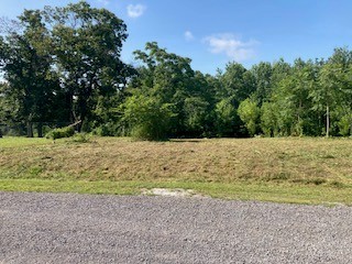 0 Lanis Road Baxter TN 38544