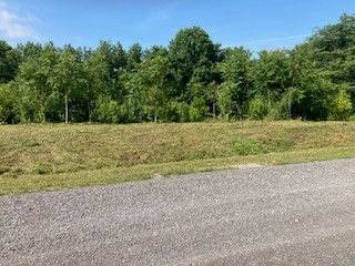 0 Lanis Road Baxter TN 38544
