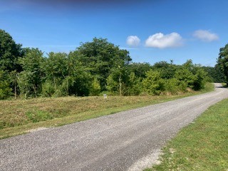 0 Lanis Road Baxter TN 38544