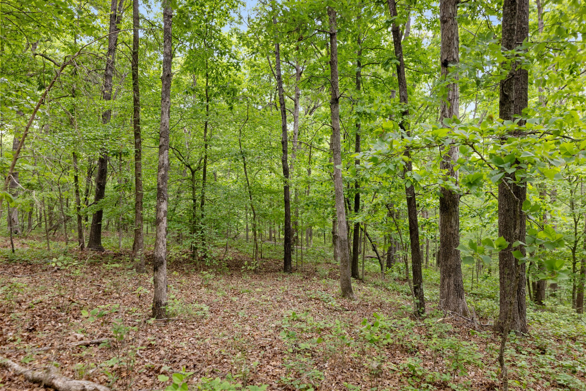 0 Old Number One Road Dickson TN 37055